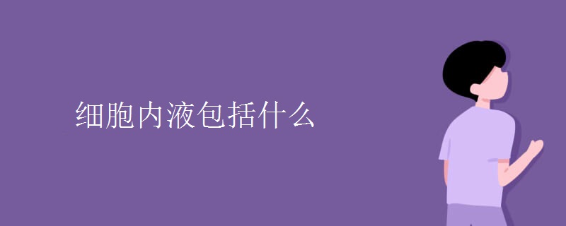 细胞内液包括什么