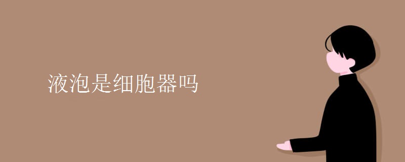 液泡是细胞器吗