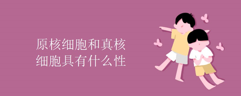 原核细胞和真核细胞具有什么性