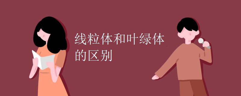 线粒体和叶绿体的区别