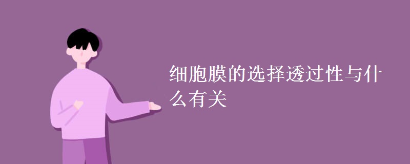 细胞膜的选择透过性与什么有关
