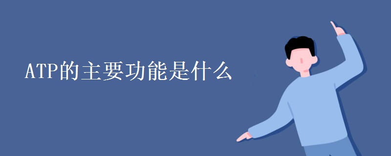 ATP的主要功能是什么 ATP的主要功能是什么