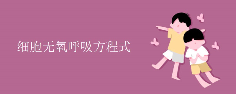 细胞无氧呼吸方程式 细胞无氧呼吸方程式