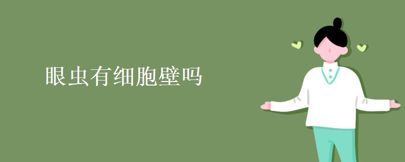 眼虫有细胞壁吗