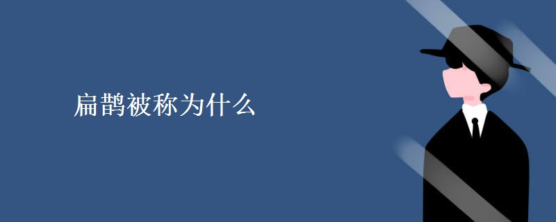 扁鹊被称为什么
