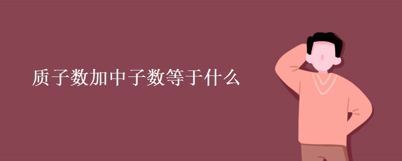 质子数加中子数等于什么
