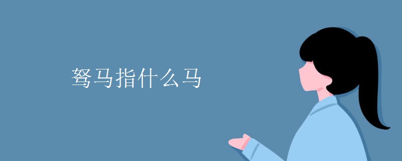驽马指什么马 驽马指什么马