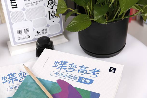 意动用法是什么词作什么词 意动用法是什么词作什么词