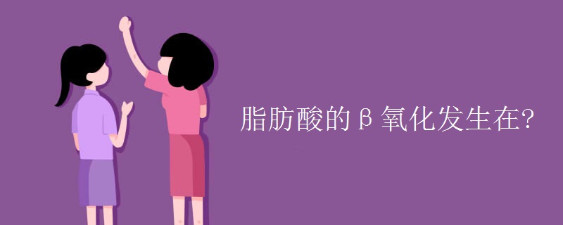 脂肪酸的β氧化发生在?