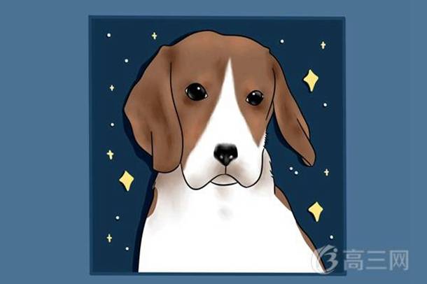 记叙文阅读题答题技巧