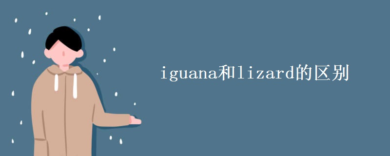 iguana和lizard的区别