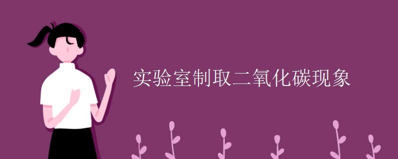实验室制取二氧化碳现象