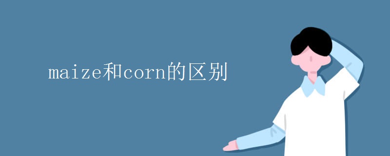 maize和corn的区别