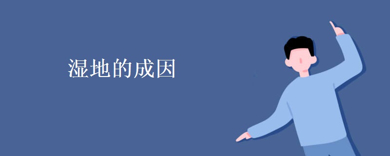 湿地的成因 湿地的成因