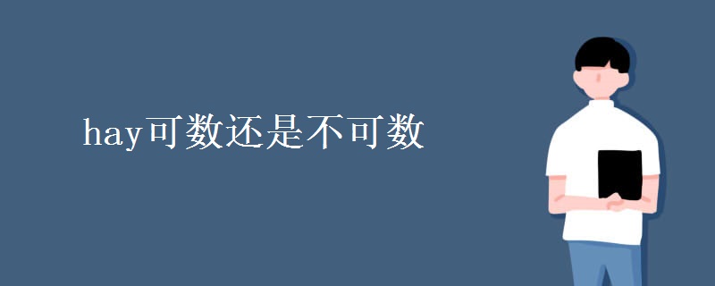 hay可数还是不可数