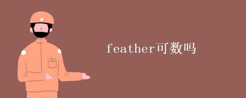 feather可数吗 feather可数吗