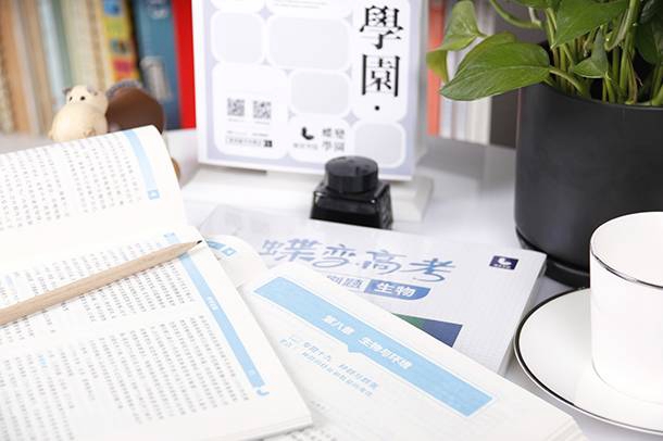 so that的用法和例句