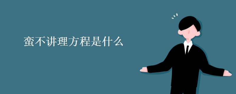 蛮不讲理方程是什么