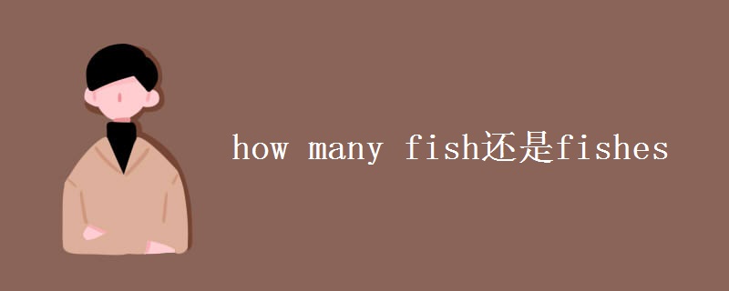 how many fish还是fishes