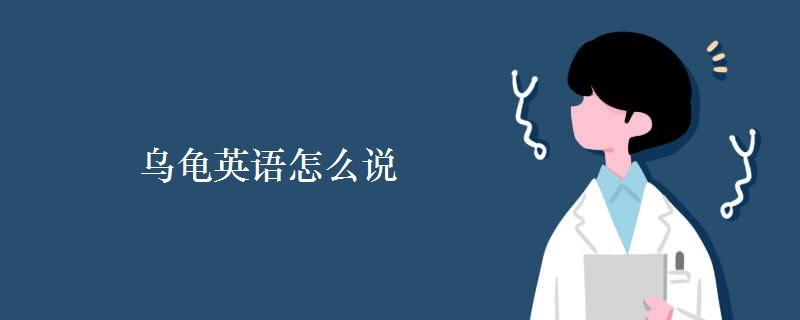 乌龟英语怎么说