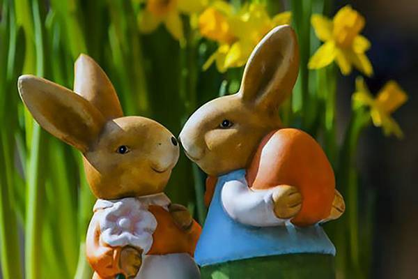 高考优秀英语作文范文带翻译