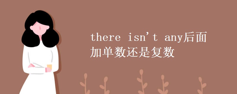 there isn't any后面加单数还是复数