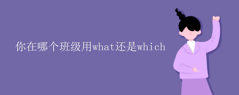 你在哪个班级用what还是which