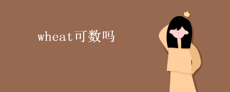 wheat可数吗 wheat可数吗