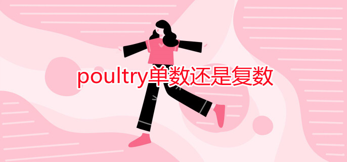 poultry单数还是复数