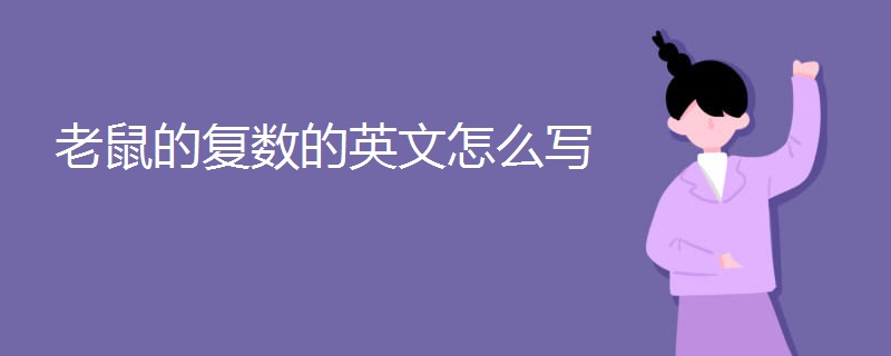老鼠的复数的英文怎么写