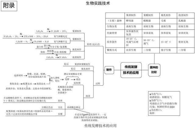高中生物思维导图 如何学好生物知识 高中生物思维导图 如何学好生物知识