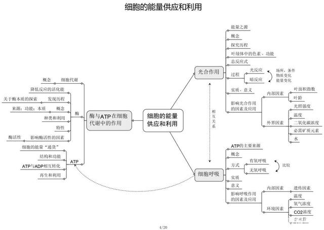高中生物思维导图 如何学好生物知识 高中生物思维导图 如何学好生物知识