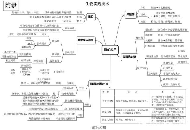 高中生物思维导图 如何学好生物知识 高中生物思维导图 如何学好生物知识