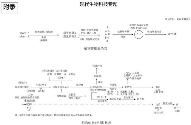 高中生物思维导图 如何学好生物知识 高中生物思维导图 如何学好生物知识