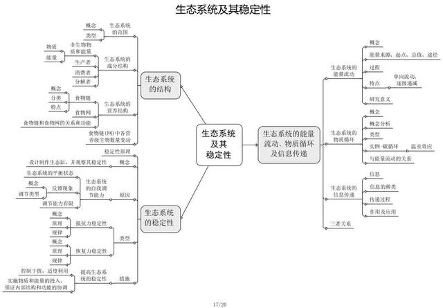 高中生物思维导图 如何学好生物知识 高中生物思维导图 如何学好生物知识