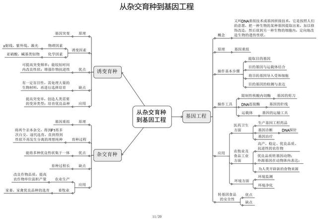 高中生物思维导图 如何学好生物知识 高中生物思维导图 如何学好生物知识