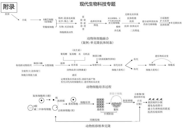 高中生物思维导图 如何学好生物知识 高中生物思维导图 如何学好生物知识