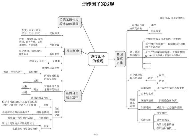 高中生物思维导图 如何学好生物知识 高中生物思维导图 如何学好生物知识