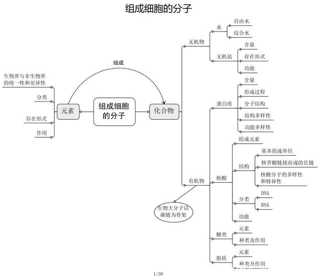 高中生物思维导图 如何学好生物知识 高中生物思维导图 如何学好生物知识