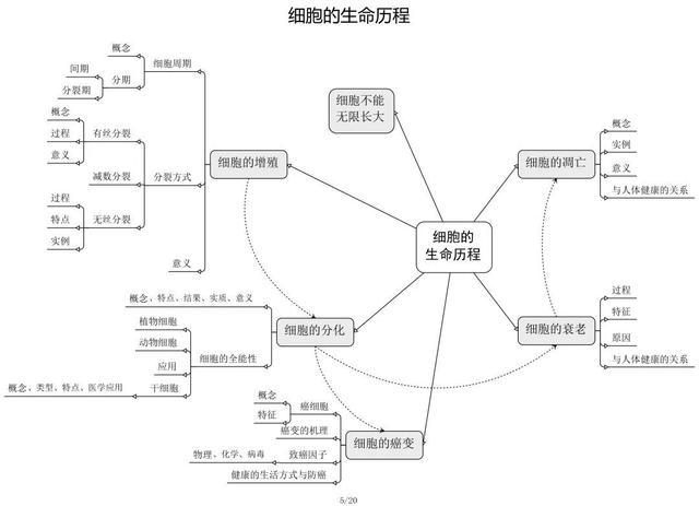 高中生物思维导图 如何学好生物知识 高中生物思维导图 如何学好生物知识