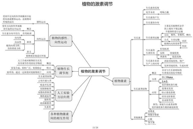 高中生物思维导图 如何学好生物知识 高中生物思维导图 如何学好生物知识