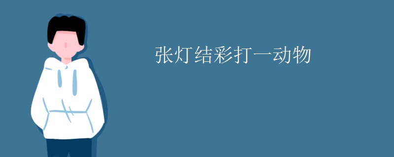 张灯结彩打一动物