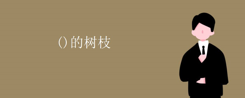 ()的树枝