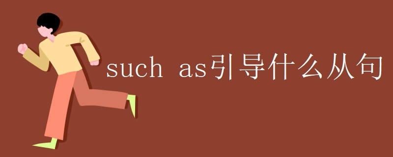 such as引导什么从句
