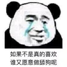 舔狗不得house